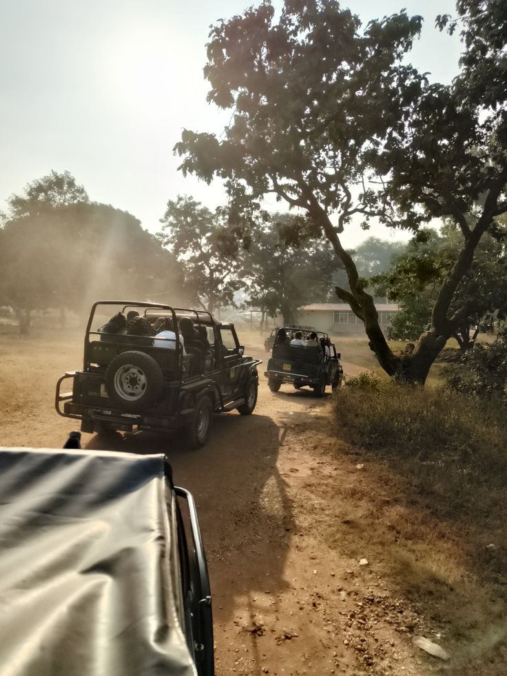 Royal Gate Adventure - Safari Jeep