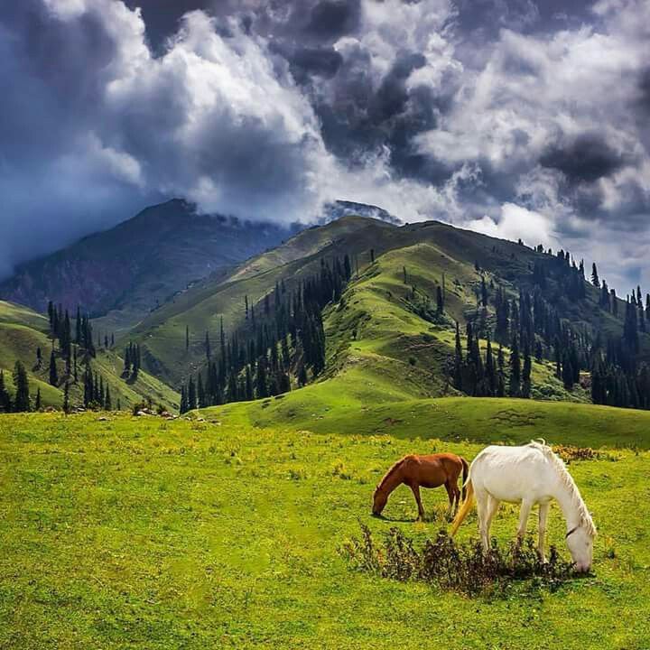 Shogran Valley – 3 Days / 2 Nights - Premium Tour Pakistan