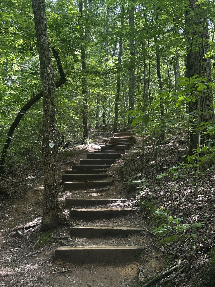 Neelum Valley – 3 Days / 2 Nights - Experience