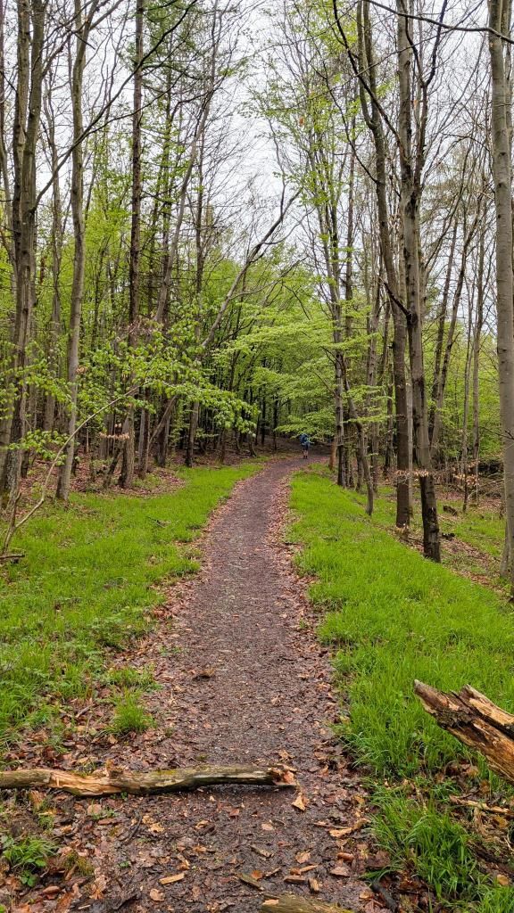 Naran & Shogran Tour – 5 Days / 4 Nights - Destination Detail